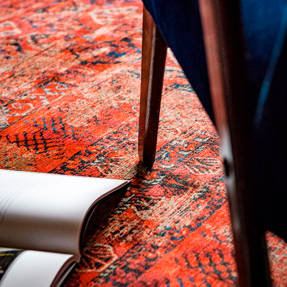 de Poortere Hadschlu 8719 Red