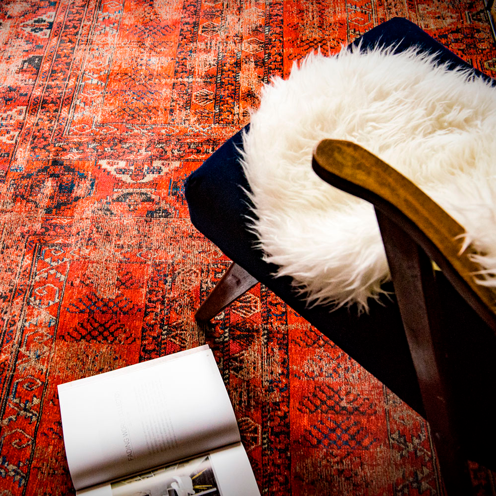 de Poortere Hadschlu 8719 Red