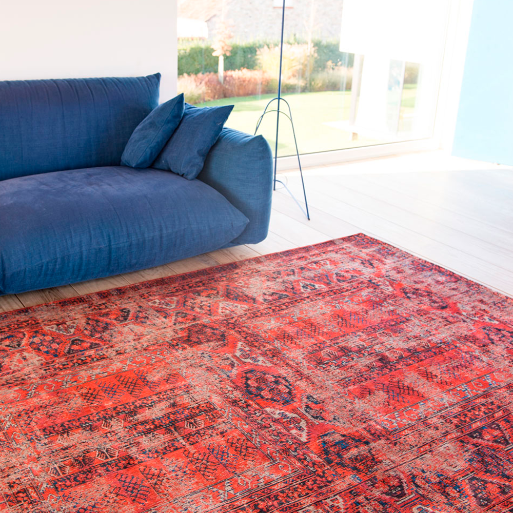 de Poortere Hadschlu 8719 Red