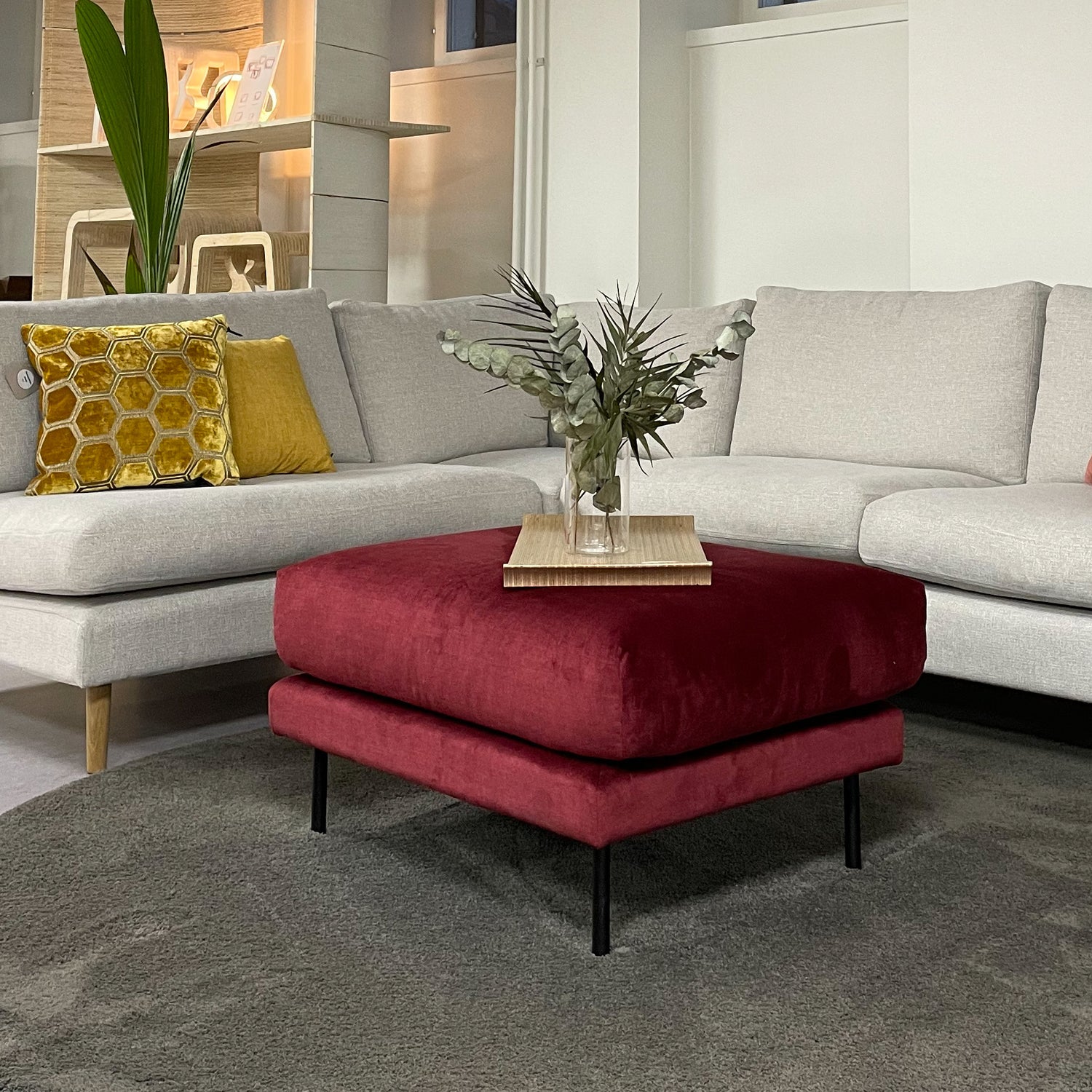 Tummanpunainen Muotka-rahi