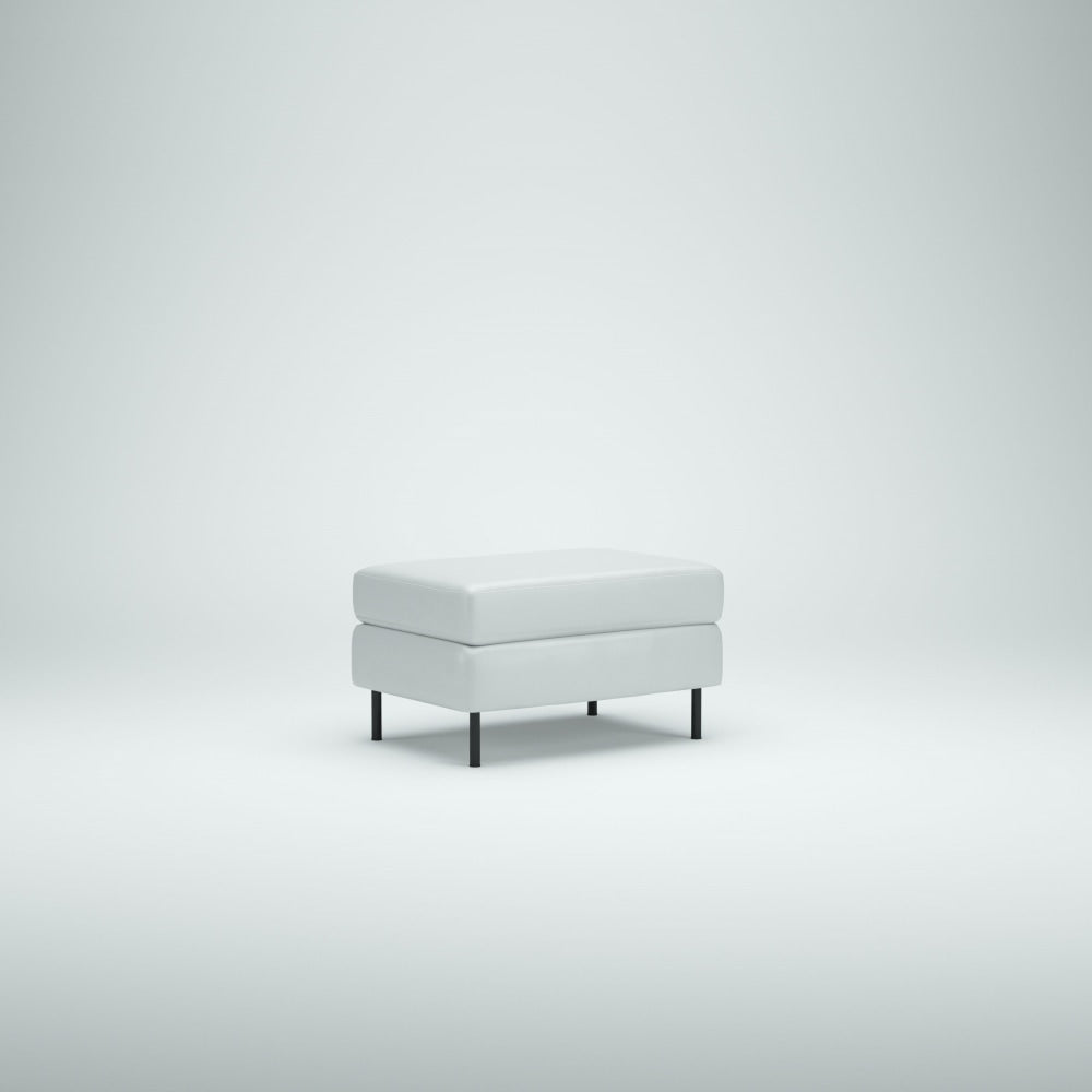 Kamppi rahi, kokonahkainen